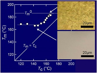 Giant single crystal of isotactic polypropylene showing near-equilibrium melting temperature
