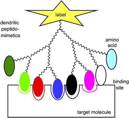 Synthesis and binding properties of peptidomimetics based on a dendritic polymer