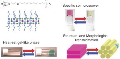 Self-assembly and functionalization of lipophilic metal-triazole complexes in various media
