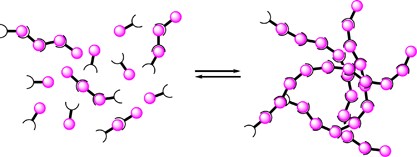 Molecular-recognition-directed formation of supramolecular polymers