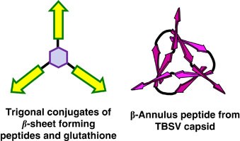 Construction of spherical virus-inspired peptide nanoassemblies