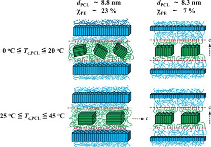 Crystallization of poly(ɛ-caprolactone) blocks confined in crystallized lamellar morphology of poly(ɛ-caprolactone)-<i>block</i>-polyethylene copolymers: effects of polyethylene crystallinity and confinement size