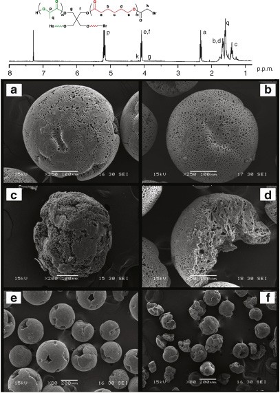 Synthesis and degradation behavior of miktoarm poly(ɛ-caprolactone)<sub>2</sub>-<i>b</i>-poly(<span class="small-caps u-small-caps">L</span>-lactone)<sub>2</sub> microspheres