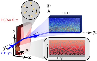 ‘Marker’ grazing-incidence X-ray photon correlation spectroscopy: a new tool to peer into the interfaces of nanoconfined polymer thin films