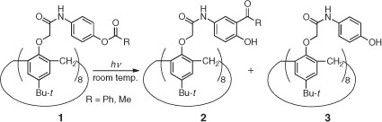 Photoinduced refractive-index change in 4-<i>tert</i>-butylcalix[8]arenes bearing <i>N</i>-acyloxyphenylamide chromophores