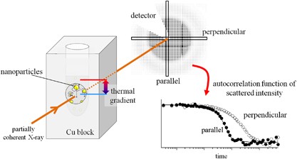 Thermal gradient effect on the dynamical behavior of nanoparticles observed using X-ray photon correlation spectroscopy