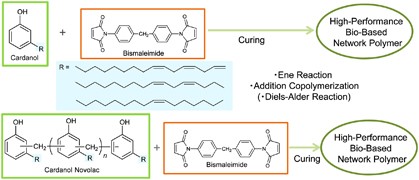 Bio-based thermosetting resins composed of cardanol novolac and bismaleimide