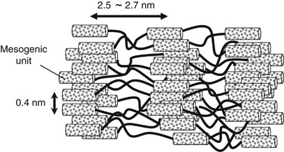 <i>In-situ</i> analysis of the structural formation process of liquid–crystalline epoxy thermosets by simultaneous SAXS/WAXS measurements using synchrotron radiation