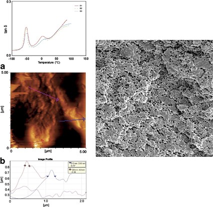 Microcellular foaming of PP/EPDM/organoclay nanocomposites: the effect of the distribution of nanoclay on foam morphology