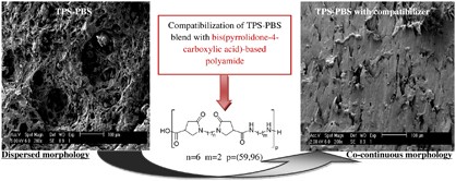 Synthesis of bis(pyrrolidone-4-carboxylic acid)-based polyamides derived from renewable itaconic acid—application as a compatibilizer in biopolymer blends