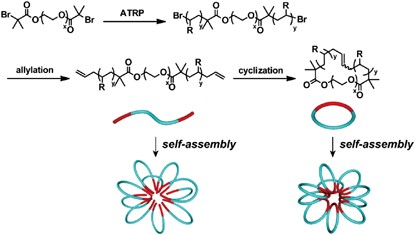 Synthesis of cyclic polymers and <i>topology effects</i> on their diffusion and thermal properties