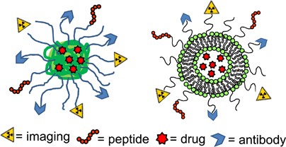 Peptide-based targeting strategies for simultaneous imaging and therapy with nanovectors