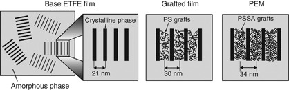 Nanoscale structures of radiation-grafted polymer electrolyte membranes investigated via a small-angle neutron scattering technique