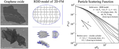 Particle scattering function of a two-dimensional flexible macromolecule