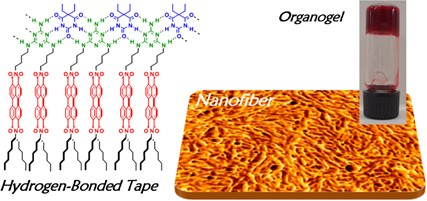 Perylene bisimide organogels formed by melamine·cyanurate/barbiturate hydrogen-bonded tapes