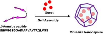 Guest-binding behavior of peptide nanocapsules self-assembled from viral peptide fragments