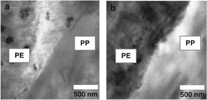 Adhesion between polyethylenes and different types of polypropylenes