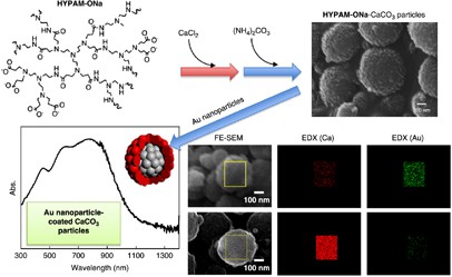 Synthesis of calcium carbonate particles with carboxylic-terminated hyperbranched poly(amidoamine) and their surface modification