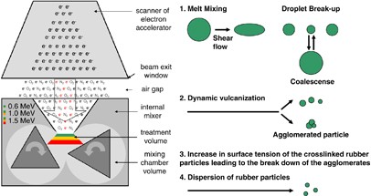 Electron-induced reactive processing of thermoplastic vulcanizate based on polypropylene and ethylene propylene diene terpolymer rubber