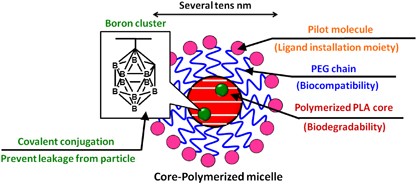 Boron neutron capture therapy assisted by boron-conjugated nanoparticles