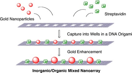 DNA nanostructures as scaffolds for metal nanoparticles