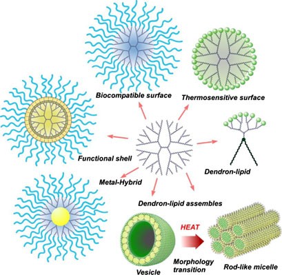 Dendrimer-based bionanomaterials produced by surface modification, assembly and hybrid formation