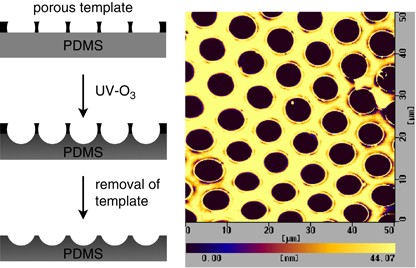 Self-assembled porous templates allow pattern transfer to poly(dimethyl siloxane) sheets through surface wrinkling