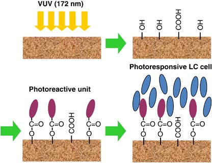 A versatile photochemical procedure to introduce a photoreactive molecular layer onto a polyimide film for liquid crystal alignment