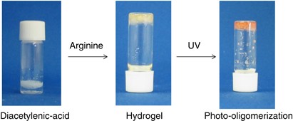 Supramolecular nanofiber formation from commercially available arginine and a bola-type diacetylenic diacid <i>via</i> hydrogelation