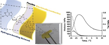 Physical and electrical characteristics of supramolecular polymer films based on guanosine derivatives modified with tetrathiafulvalene moiety