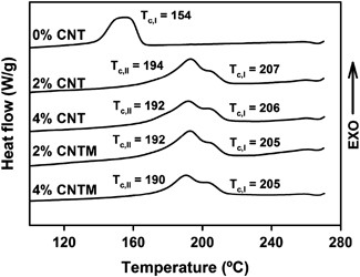 Nanocomposites based on plasma-polymerized carbon nanotubes and Nylon-6