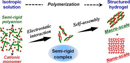 Hydrogels with a macroscopic-scale liquid crystal structure by self-assembly of a semi-rigid polyion complex