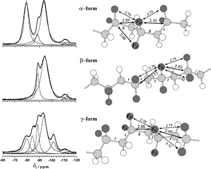 Crystalline structure and molecular mobility of PVDF chains in PVDF/PMMA blend films analyzed by solid-state <sup>19</sup>F MAS NMR spectroscopy