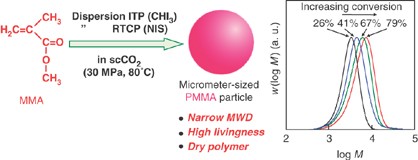 Iodine transfer dispersion polymerization with CHI<sub>3</sub> and reversible chain transfer-catalyzed dispersion polymerization with <i>N</i>-iodosuccinimide of methyl methacrylate in supercritical carbon dioxide