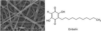 Dispersion and release of embelin from electrospun, biodegradable, polymeric membranes