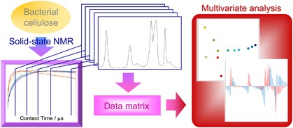 Statistical approach for solid-state NMR spectra of cellulose derived from a series of variable parameters
