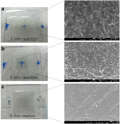 Fabrication of conductive and transparent single-walled carbon nanotube films with PEDOT