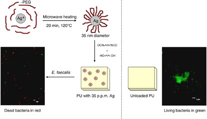 Green synthesis process of a polyurethane-silver nanocomposite having biocide surfaces