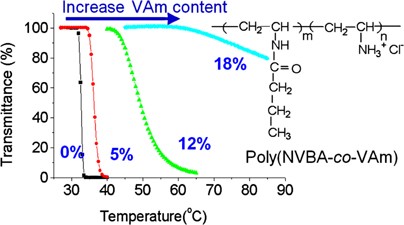Synthesis of a thermosensitive polycation by random copolymerization of <i>N</i>-vinylformamide and <i>N</i>-vinylbutyramide