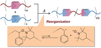 Reorganization of polymer structures based on dynamic covalent chemistry: polymer reactions by dynamic covalent exchanges of alkoxyamine units