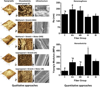 Nanoscale investigations of synthetic spider silk fibers modified by physical and chemical processes