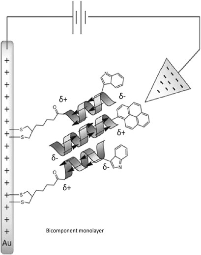 Self-assembled monolayers formed by helical peptide building blocks: a new tool for bioinspired nanotechnology