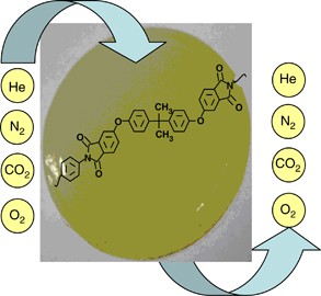 Structure and properties of new highly soluble aromatic poly(etherimide)s containing isopropylidene groups