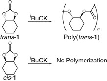 The anionic ring-opening polymerization of five-membered cyclic carbonates fused to the cyclohexane ring