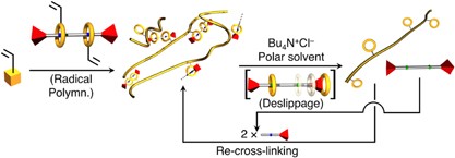 Stimuli-degradable cross-linked polymers synthesized by radical polymerization using a size-complementary [3]rotaxane cross-linker