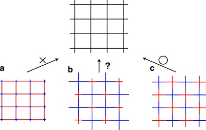 Effect of prepolymer architecture on the network structure formed by AB-type crosslink-coupling