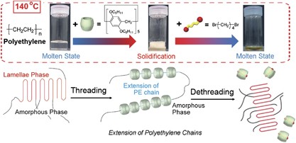 Extension of polyethylene chains by formation of polypseudorotaxane structures with perpentylated pillar[5]arenes
