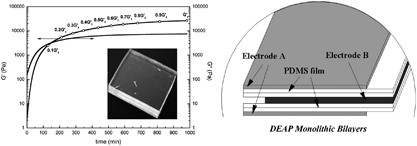 Monolithic growth of partly cured polydimethylsiloxane thin film layers