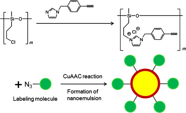 Synthesis of alkyne-functionalized amphiphilic polysiloxane polymers and formation of nanoemulsions conjugated with bioactive molecules by click reactions