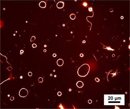 Formation of ring-shaped microtubule assemblies through active self-organization on dynein